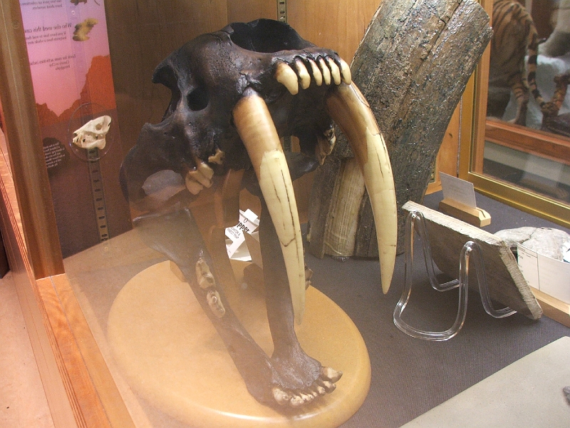 August 2008 028.JPG